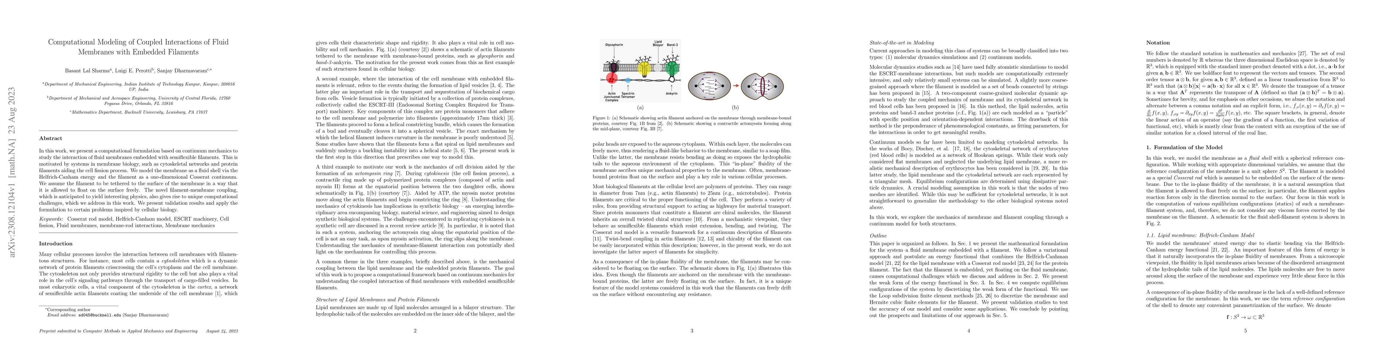 Thumbnail for Computational Modeling of Coupled Interactions of Fluid Membranes with
  Embedded Filaments