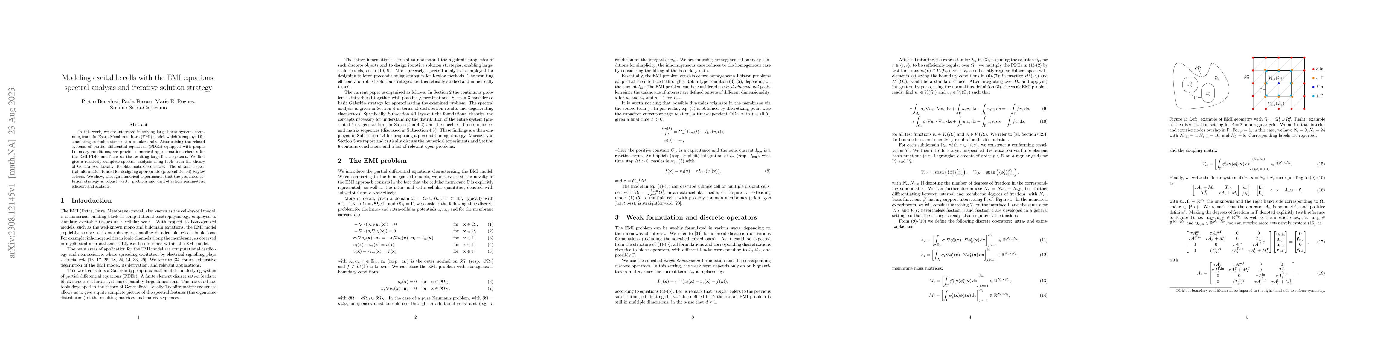 Thumbnail for Modeling excitable cells with the EMI equations: spectral analysis and
  iterative solution strategy