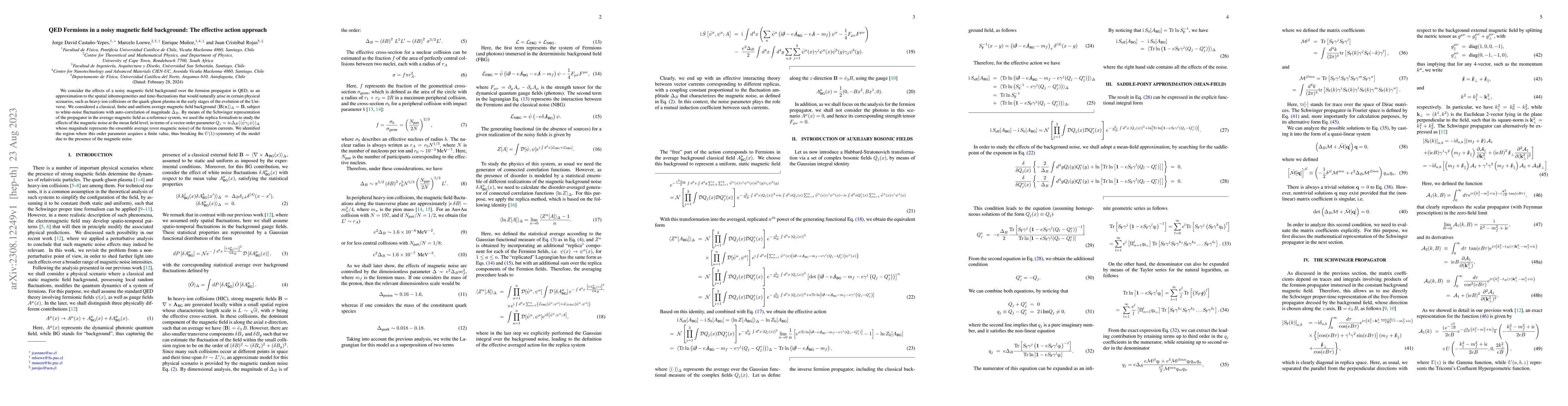 Thumbnail for QED Fermions in a noisy magnetic field background: The effective action
  approach
