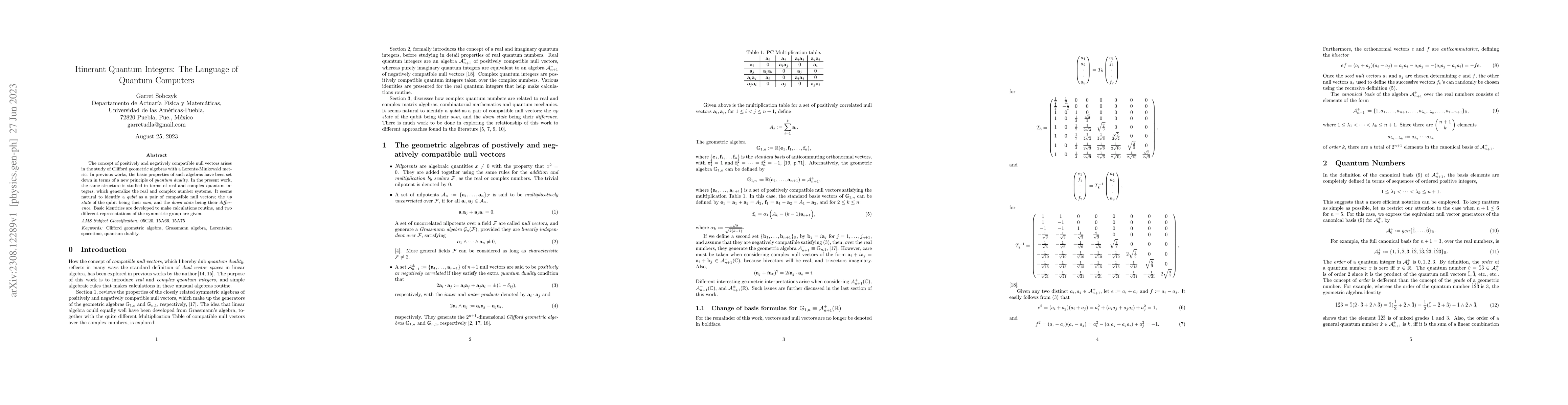 Thumbnail for Itinerant Quantum Integers: The Language of Quantum Computers