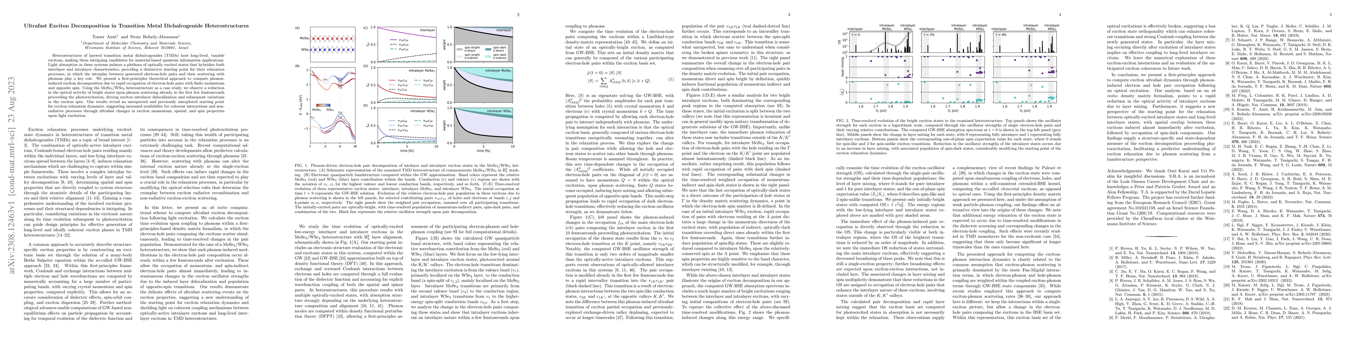 Thumbnail for Ultrafast Exciton Decomposition in Transition Metal Dichalcogenide
  Heterostructures