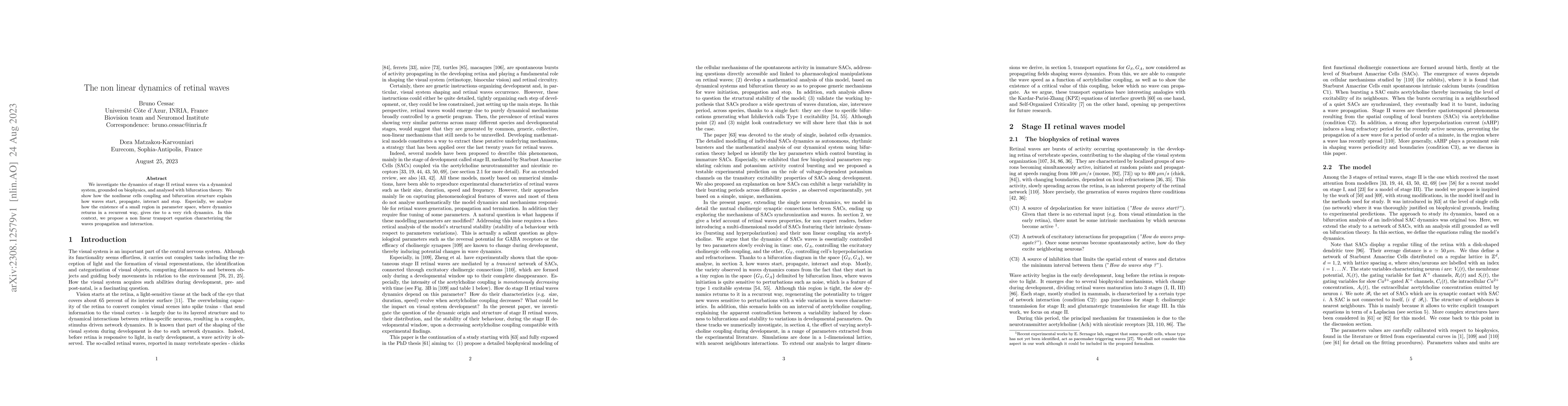 Thumbnail for The non linear dynamics of retinal waves