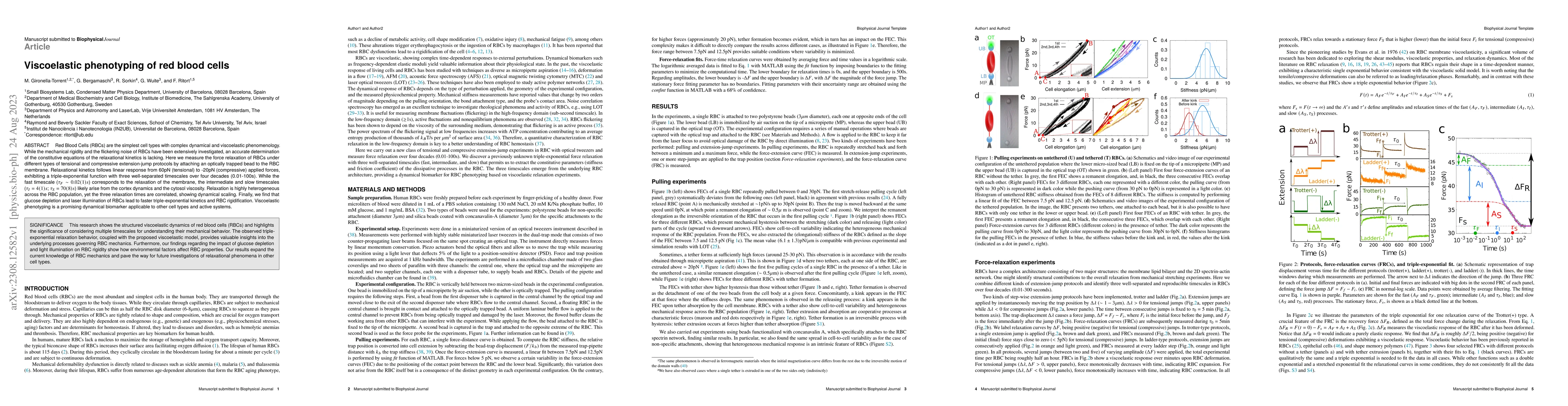 Thumbnail for Viscoelastic phenotyping of red blood cells