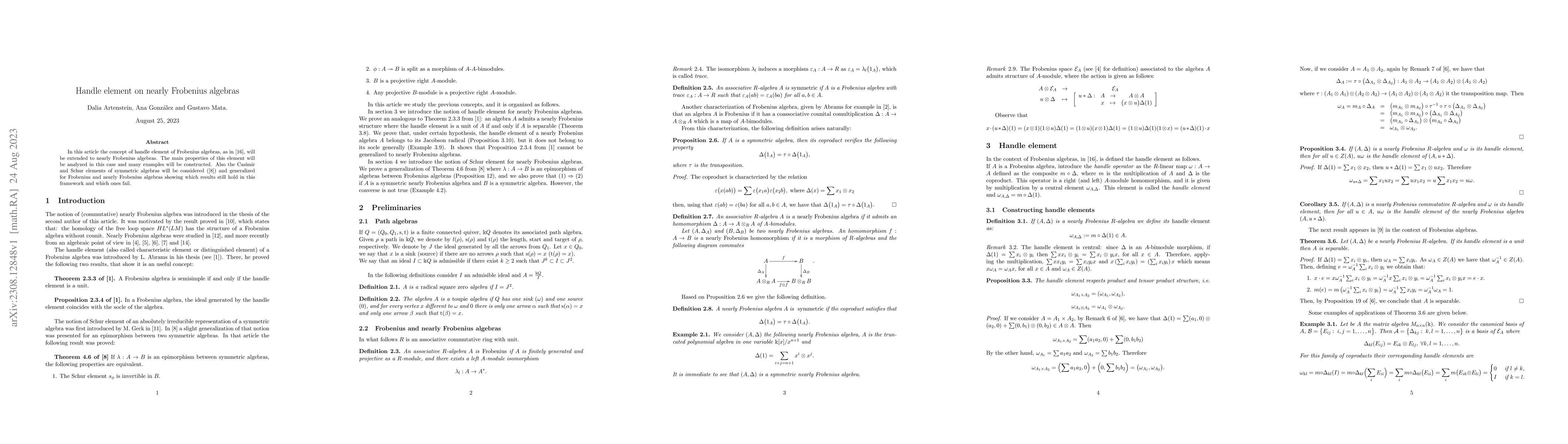 Thumbnail for Handle element on nearly Frobenius algebras