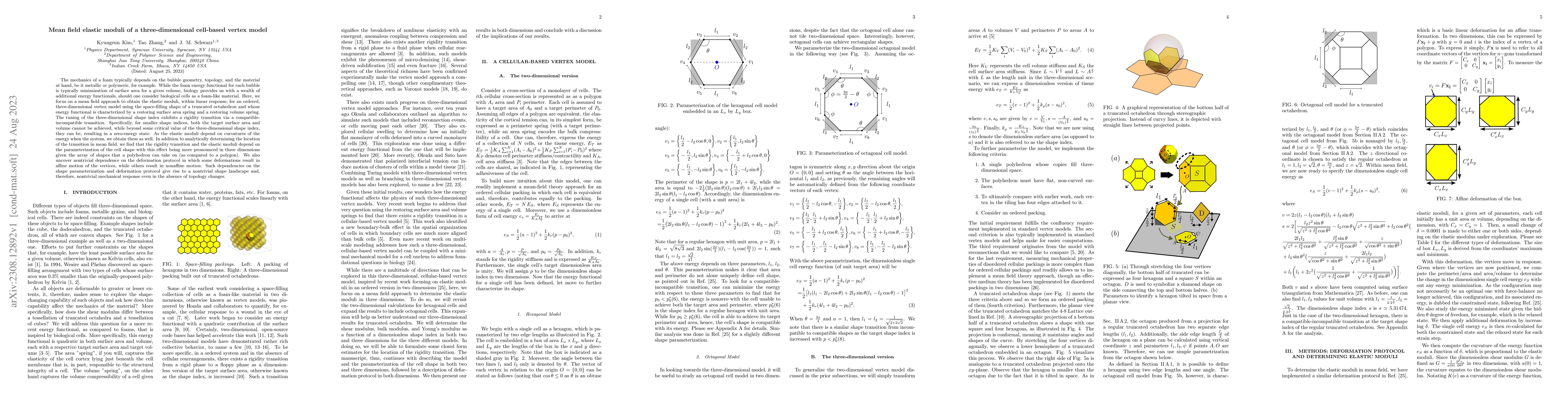 Thumbnail for Mean field elastic moduli of a three-dimensional cell-based vertex model