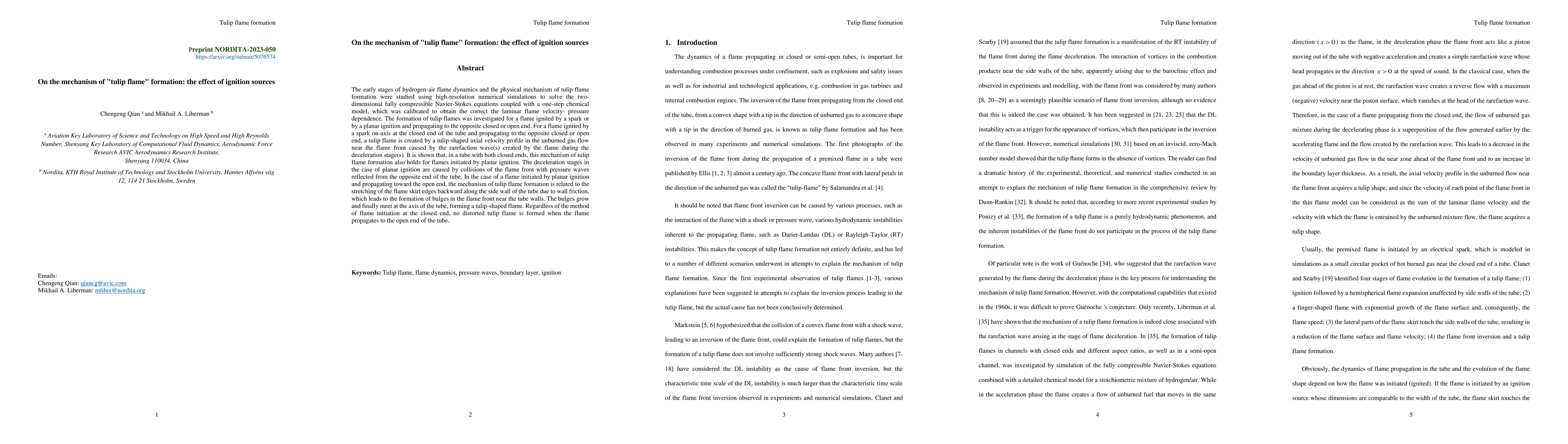 Thumbnail for On the mechanism of "tulip flame" formation: the effect of ignition
  sources