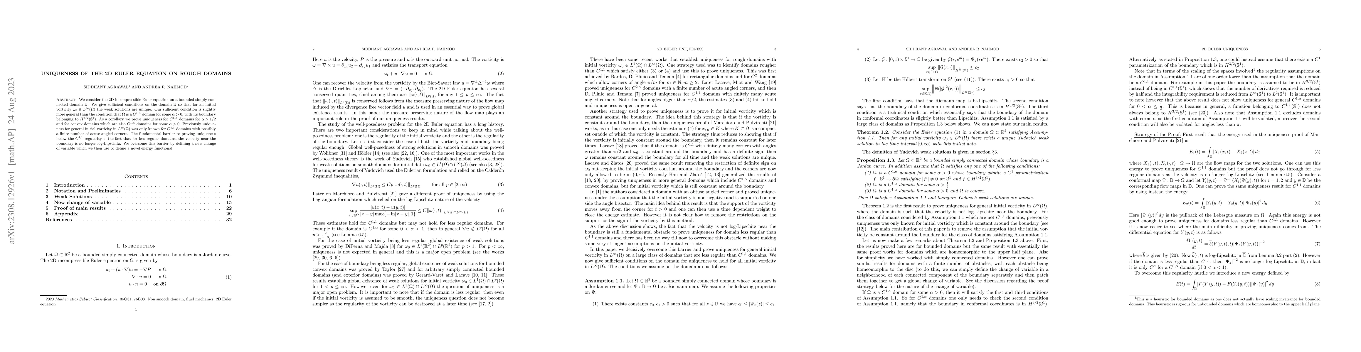 Thumbnail for Uniqueness of the 2D Euler equation on rough domains