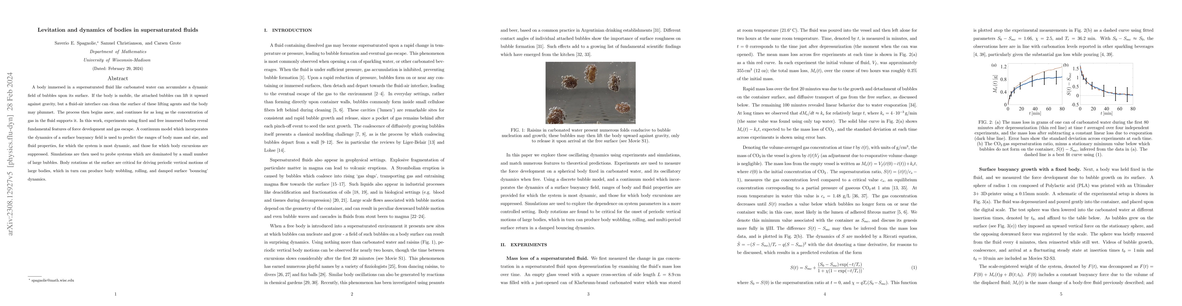 Thumbnail for Levitation and dynamics of bodies in supersaturated fluids
