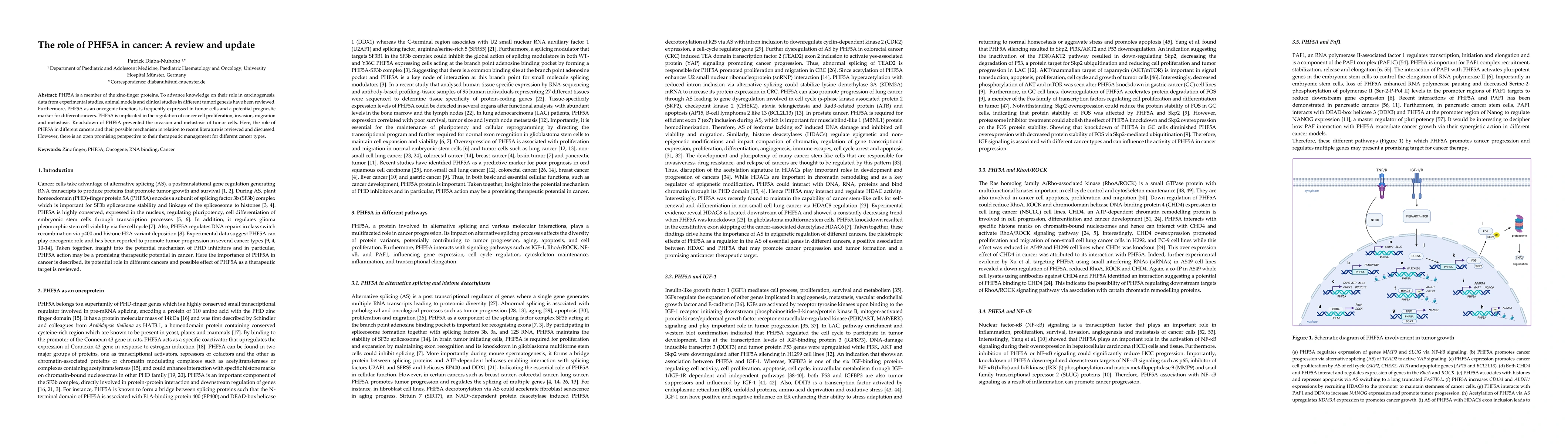 Thumbnail for The role of PHF5A in cancer: A review and update