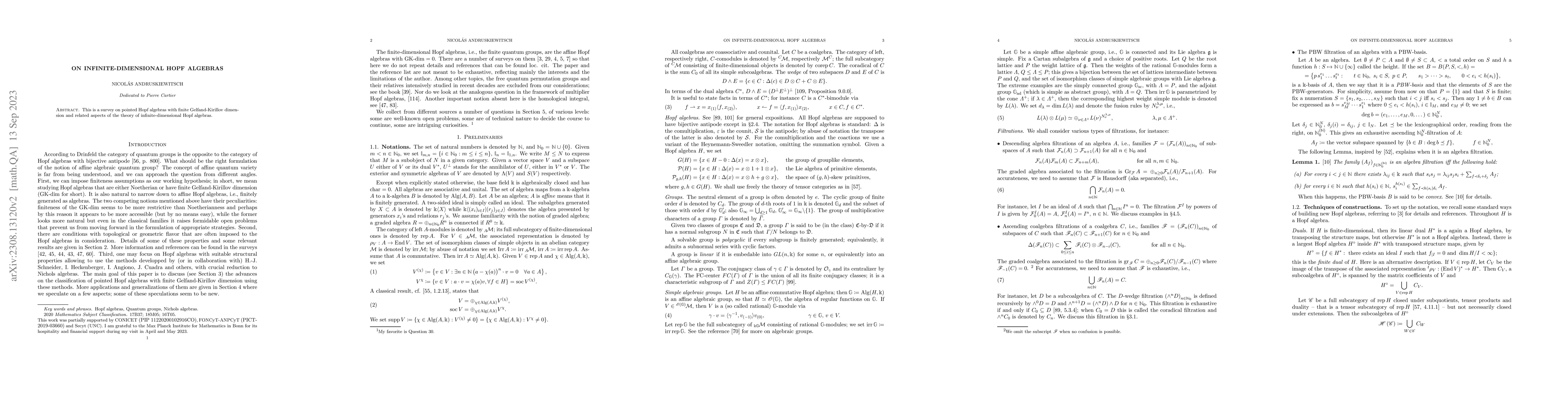 Thumbnail for On infinite-dimensional Hopf algebras