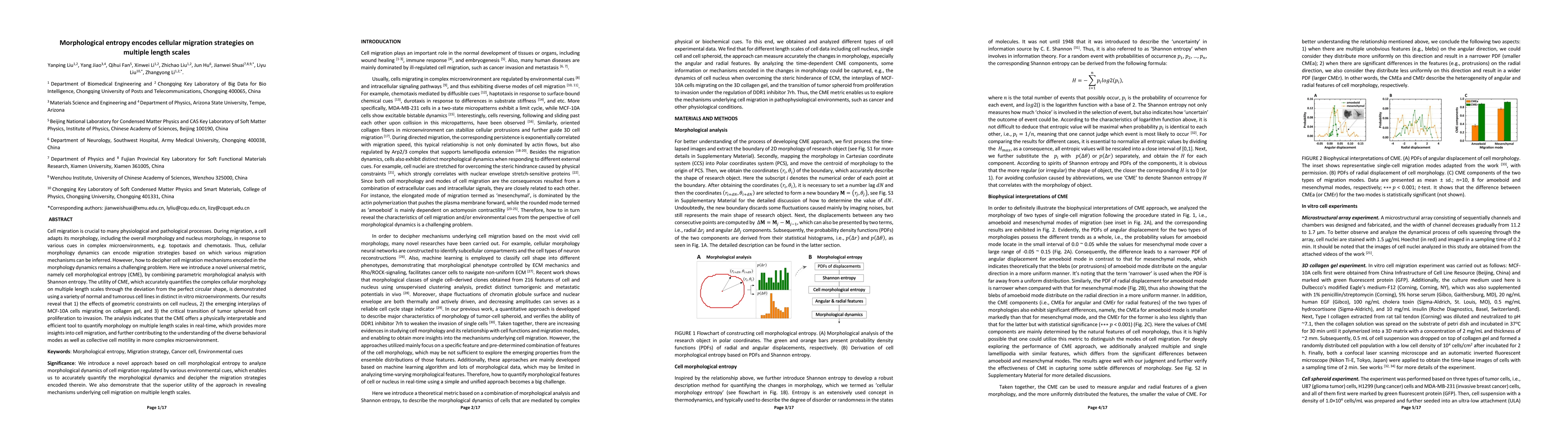 Thumbnail for Morphological entropy encodes cellular migration strategies on multiple
  length scales