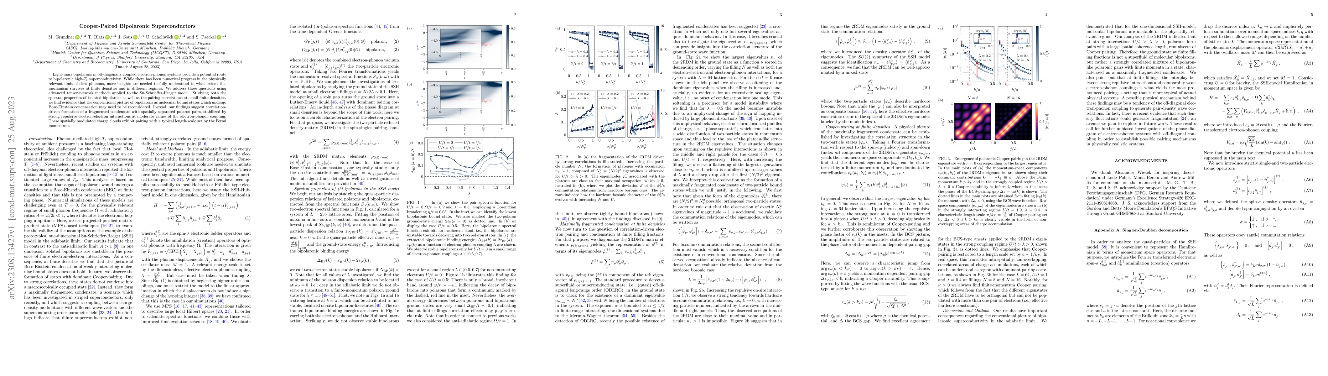 Thumbnail for Cooper-Paired Bipolaronic Superconductors