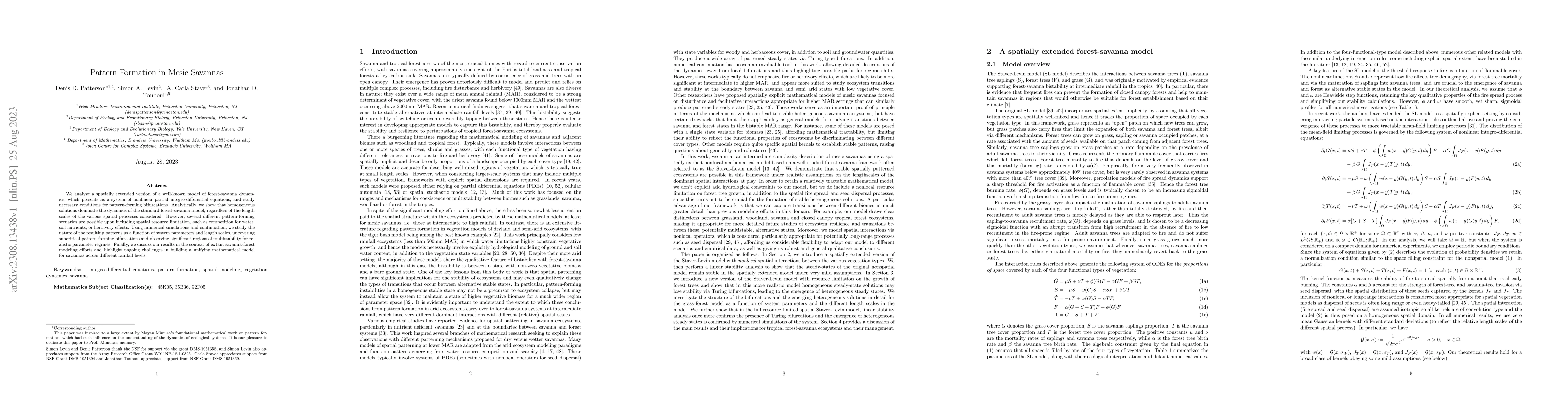Thumbnail for Pattern Formation in Mesic Savannas
