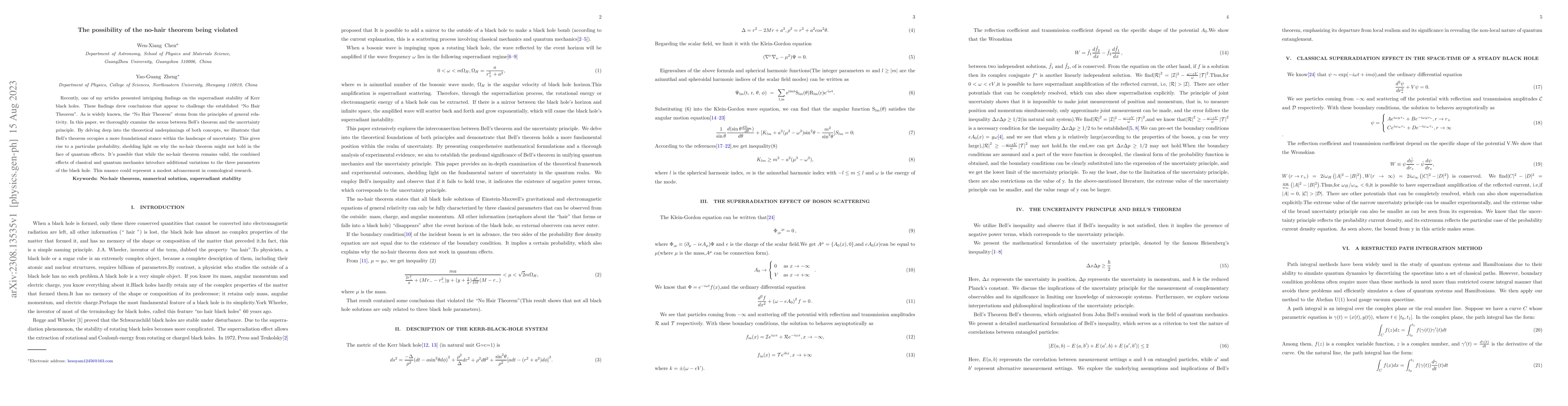 Thumbnail for The possibility of the no-hair theorem being violated