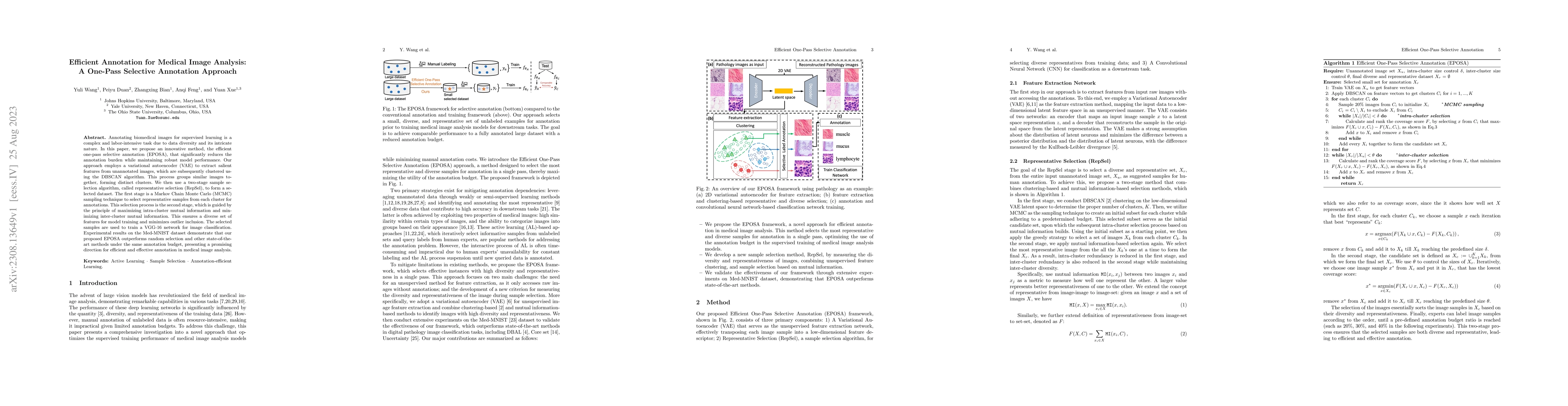 Thumbnail for Efficient Annotation for Medical Image Analysis: A One-Pass Selective
  Annotation Approach