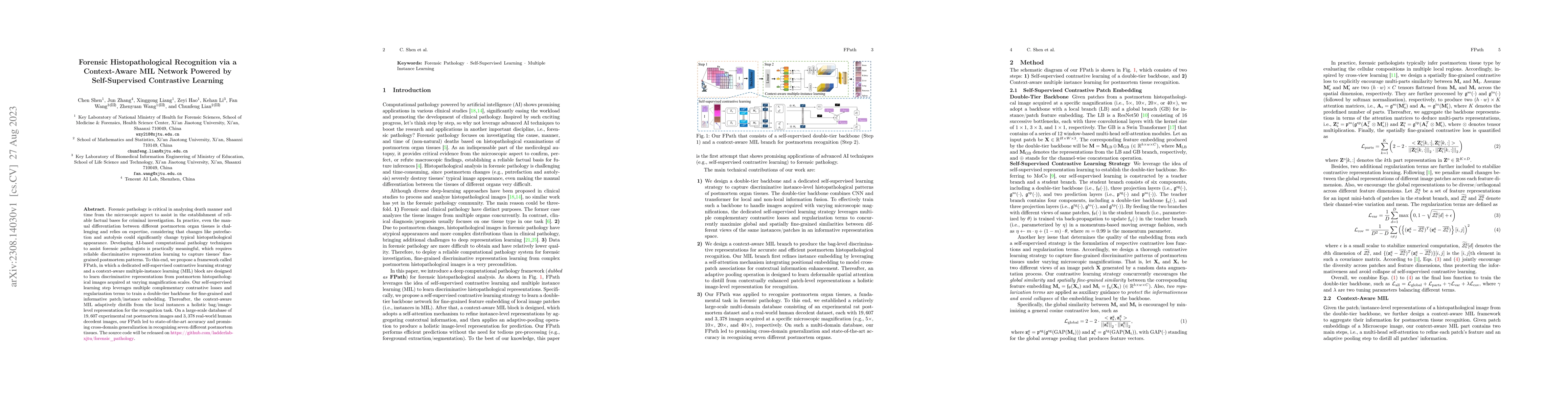 Thumbnail for Forensic Histopathological Recognition via a Context-Aware MIL Network
  Powered by Self-Supervised Contrastive Learning