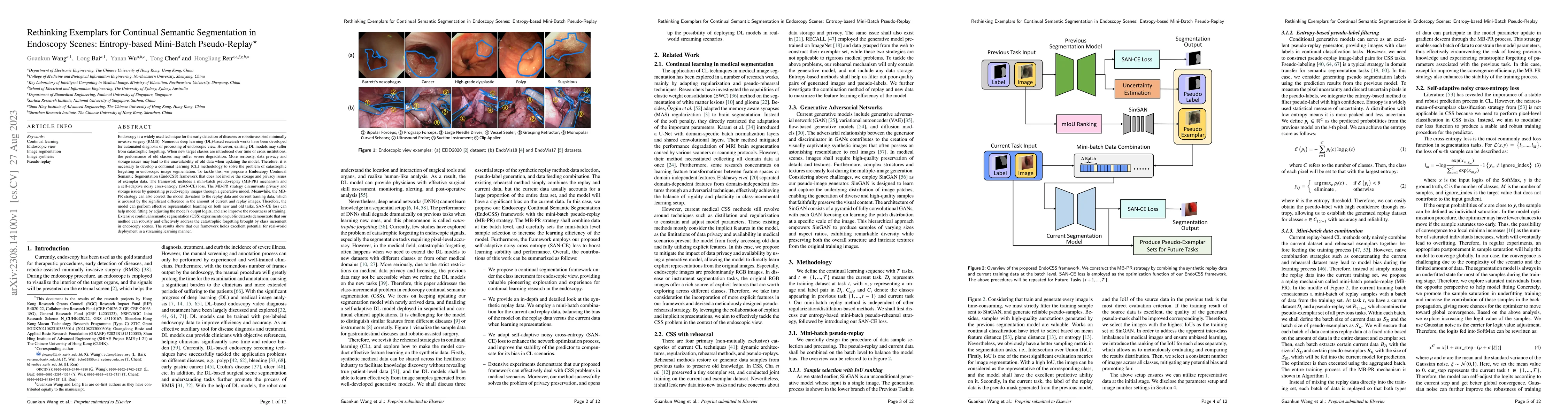 Thumbnail for Rethinking Exemplars for Continual Semantic Segmentation in Endoscopy
  Scenes: Entropy-based Mini-Batch Pseudo-Replay