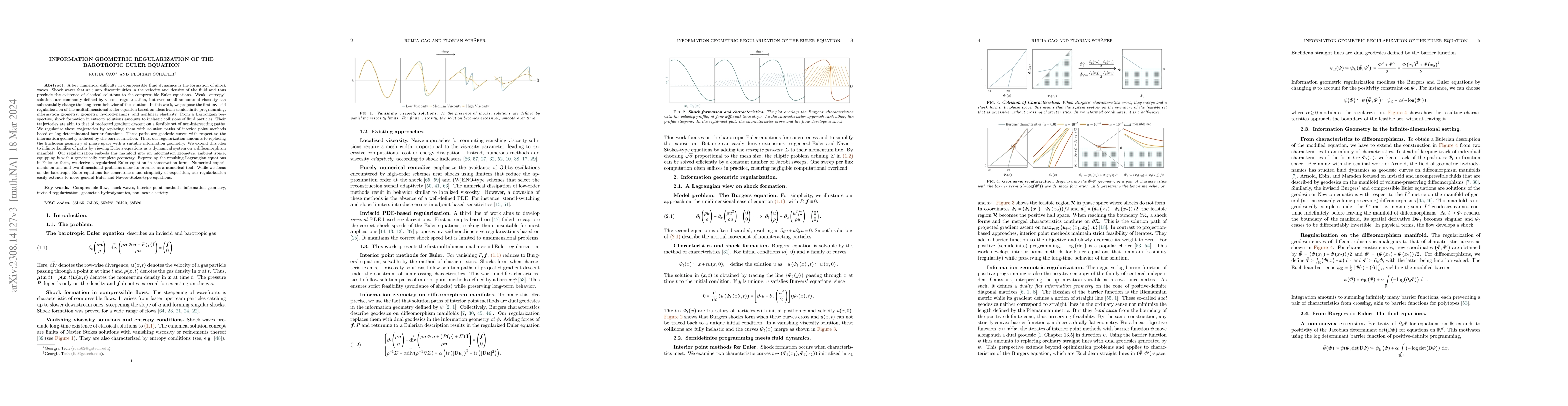 Thumbnail for Information geometric regularization of the barotropic Euler equation
