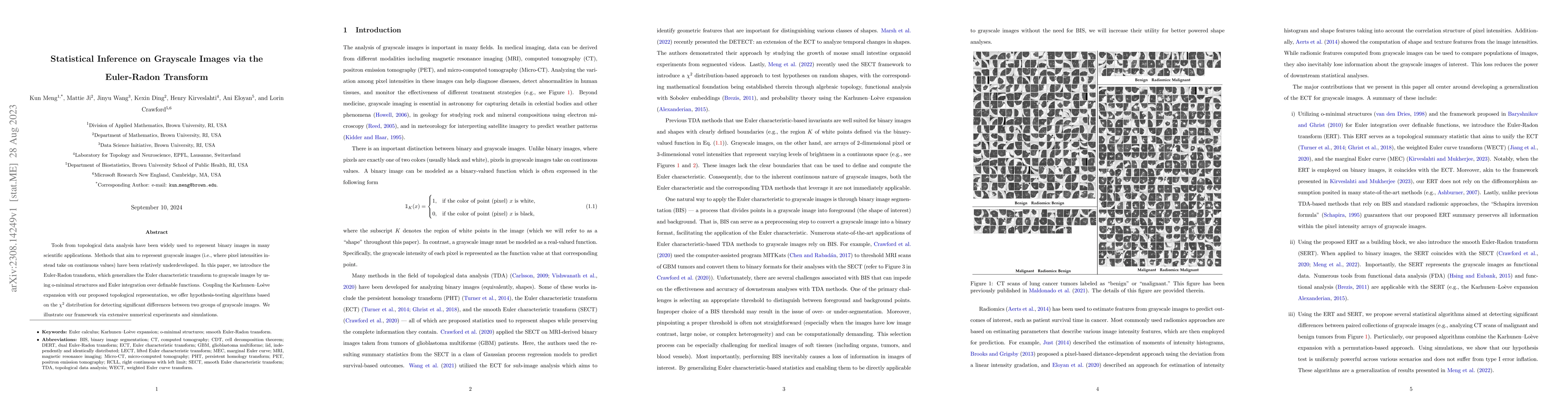 Thumbnail for Statistical Inference on Grayscale Images via the Euler-Radon Transform