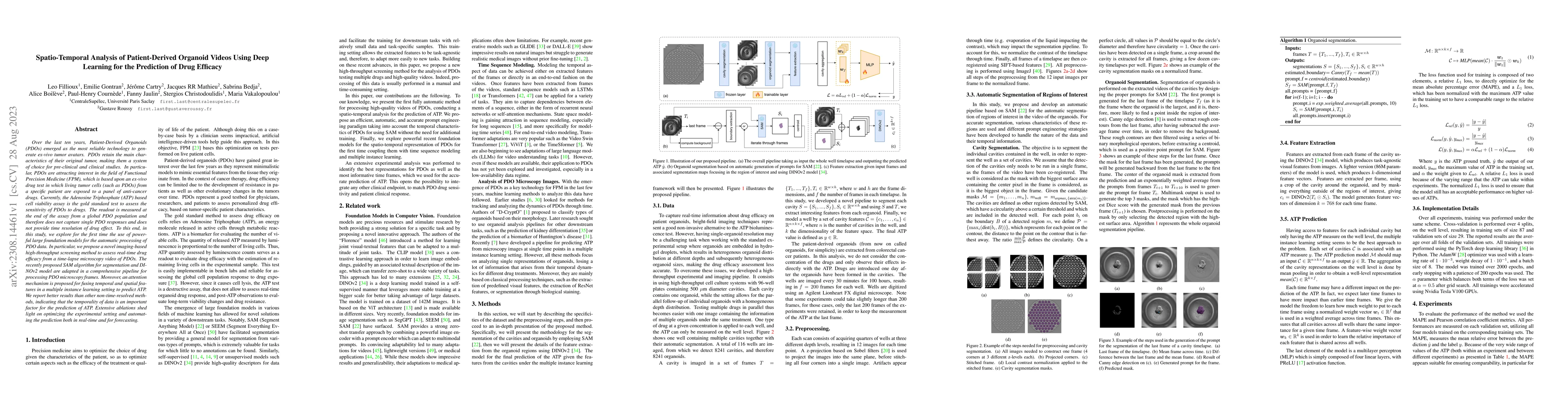 Thumbnail for Spatio-Temporal Analysis of Patient-Derived Organoid Videos Using Deep
  Learning for the Prediction of Drug Efficacy