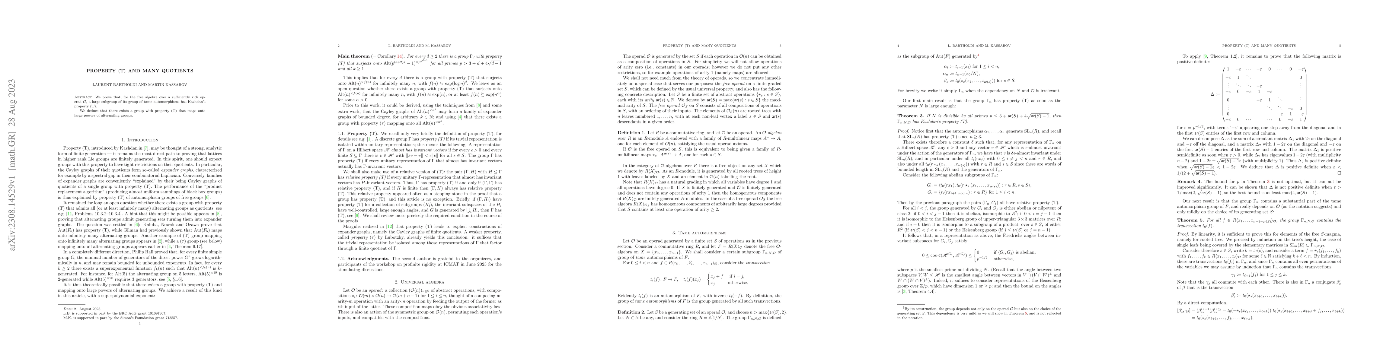 Thumbnail for Property (T) and Many Quotients