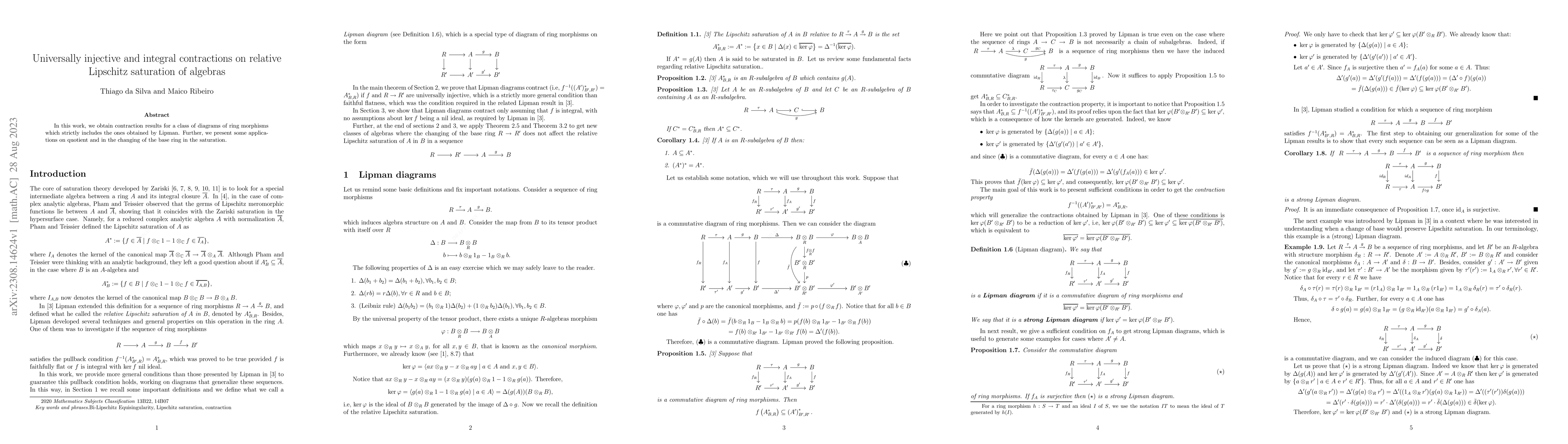 Thumbnail for Universally injective and integral contractions on relative Lipschitz
  saturation of algebras