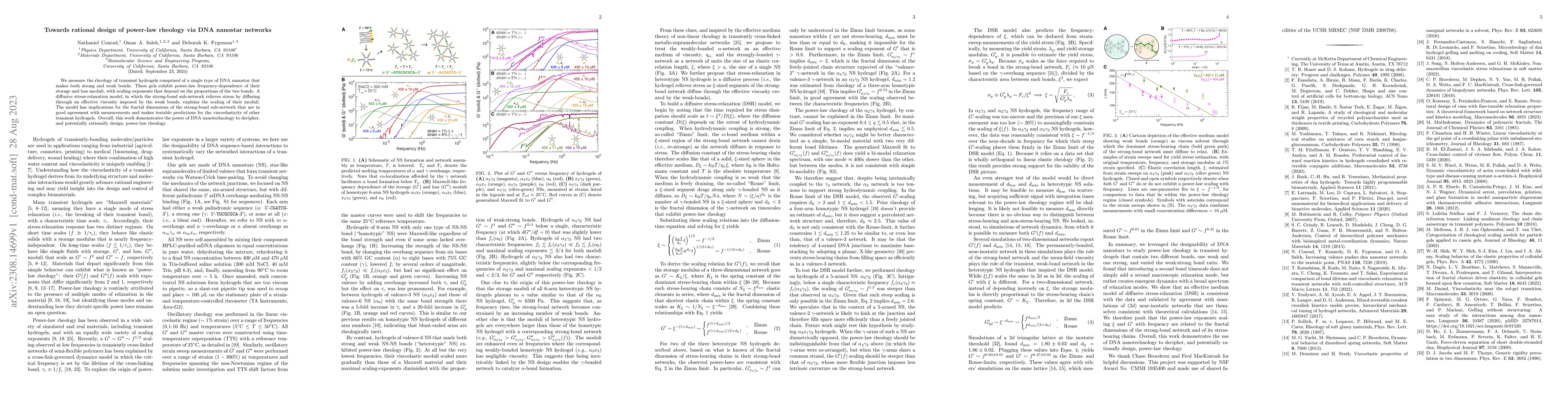 Thumbnail for Towards rational design of power-law rheology via DNA nanostar networks