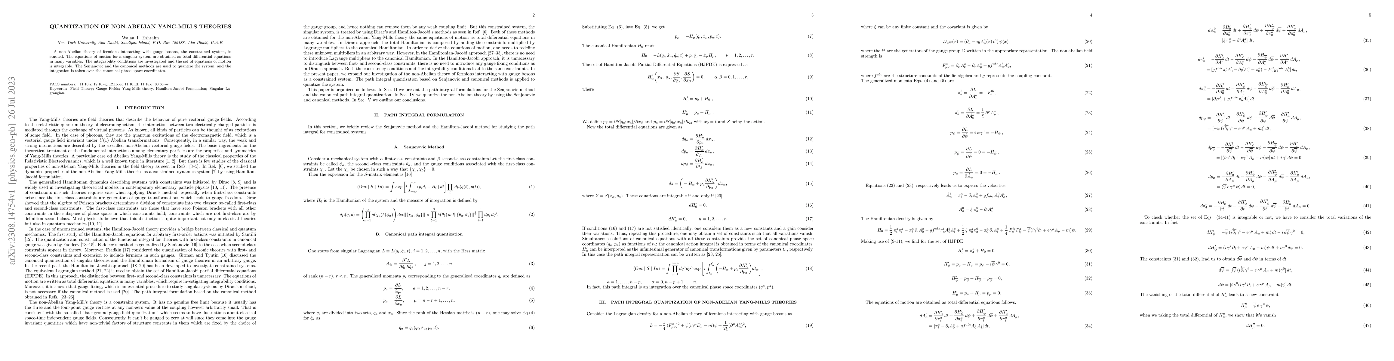 Thumbnail for Quantization of Non-Abelian Yang-Mills Theories