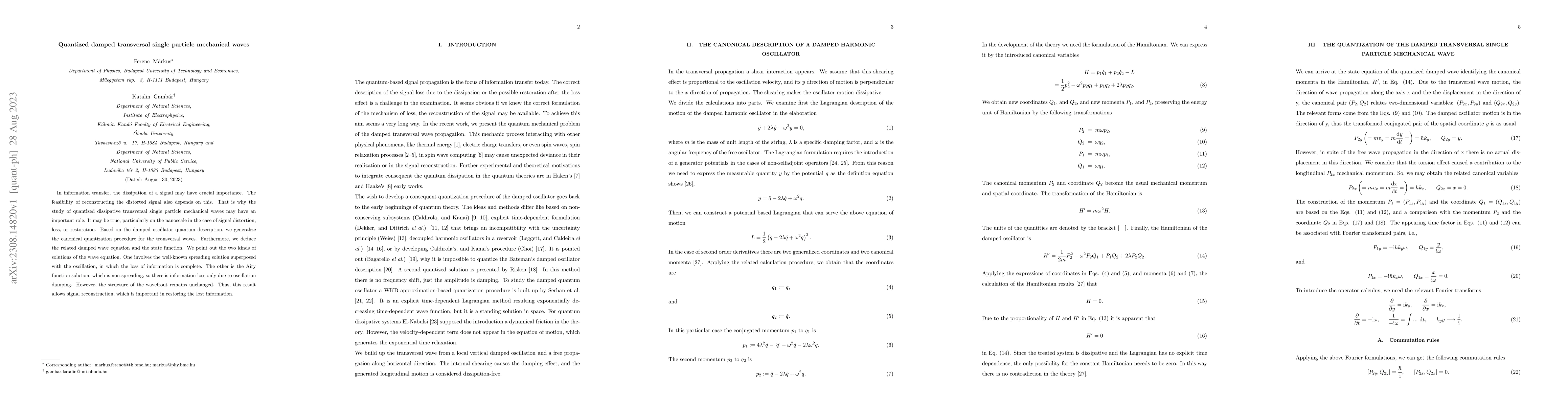 Thumbnail for Quantized damped transversal single particle mechanical waves