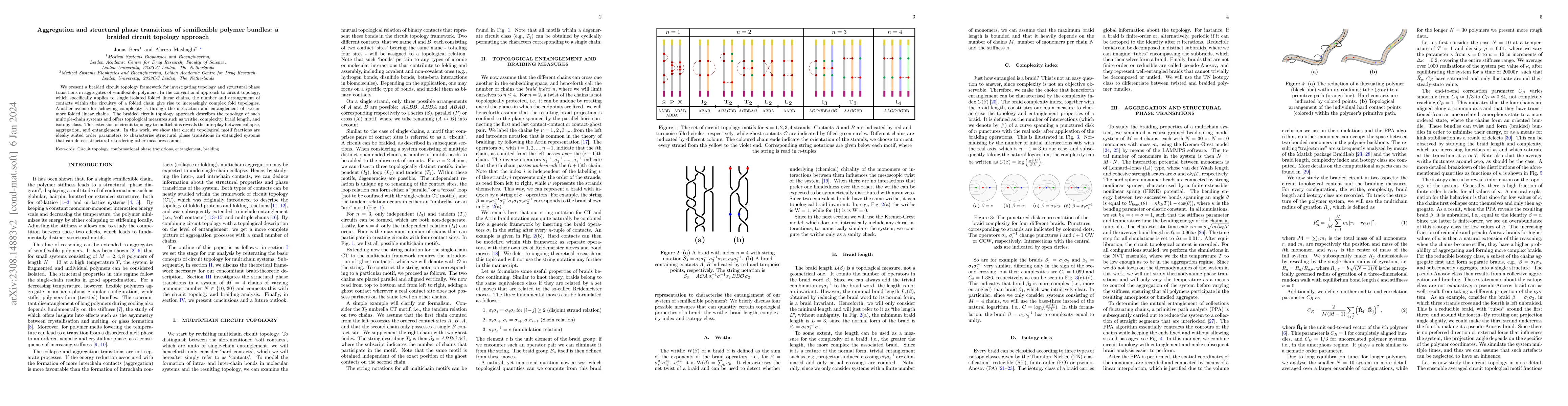 Thumbnail for Aggregation and structural phase transitions of semiflexible polymer
  bundles: a braided circuit topology approach