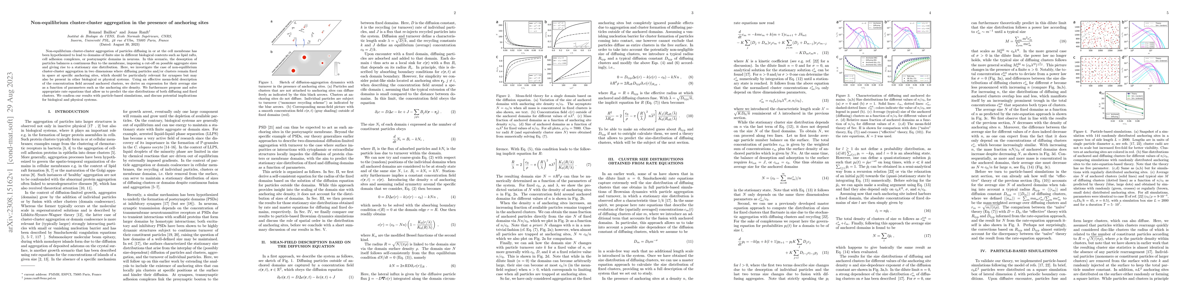 Thumbnail for Non-equilibrium cluster-cluster aggregation in the presence of anchoring
  sites