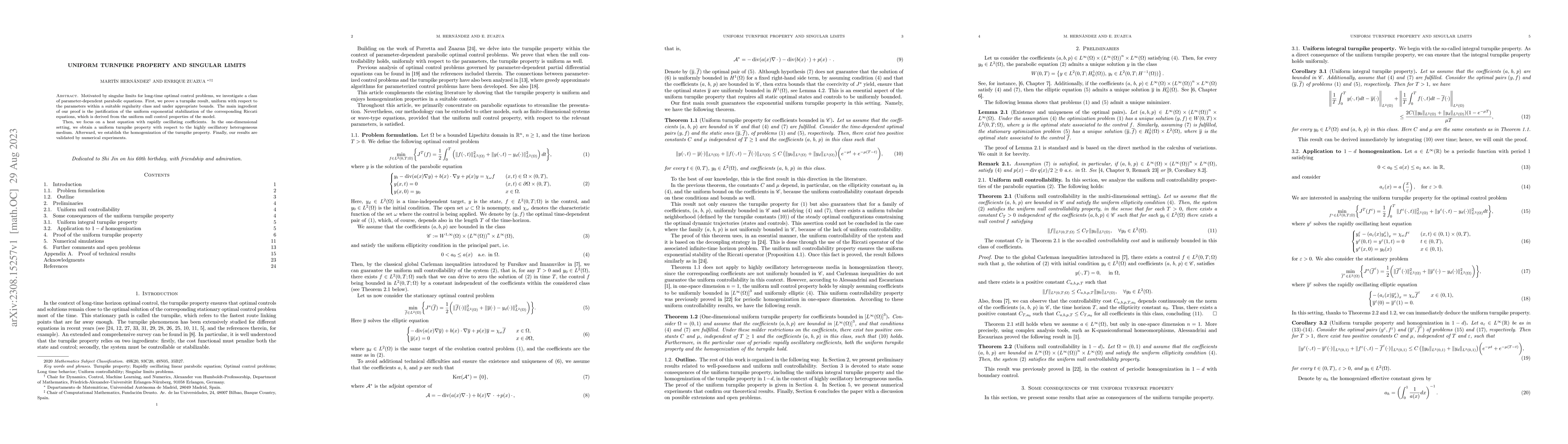 Thumbnail for Uniform Turnpike Property and Singular Limits