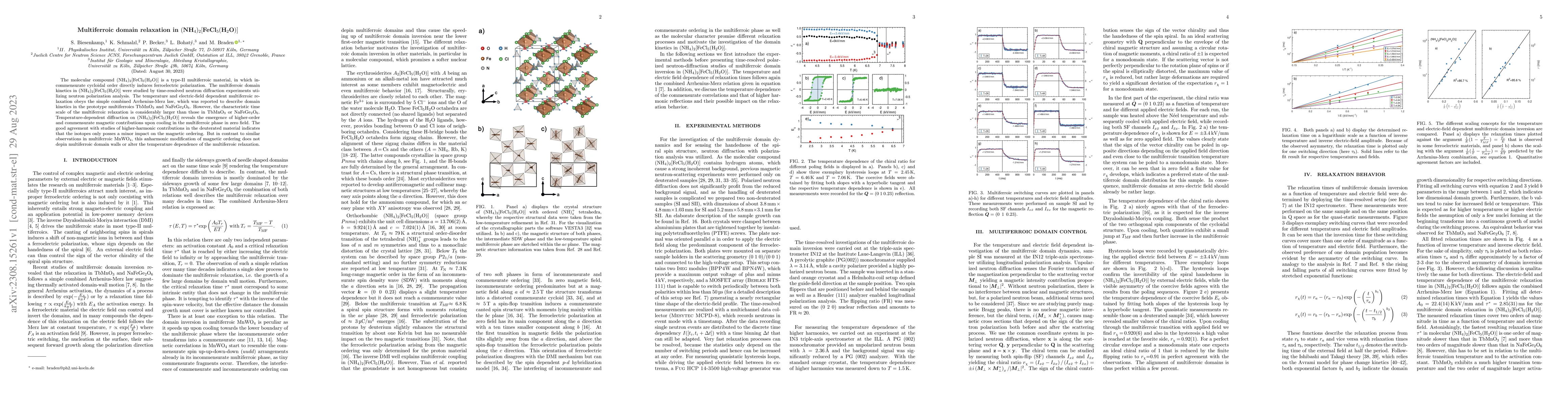 Thumbnail for Multiferroic domain relaxation in (NH4)2[FeCl5(H2O)]