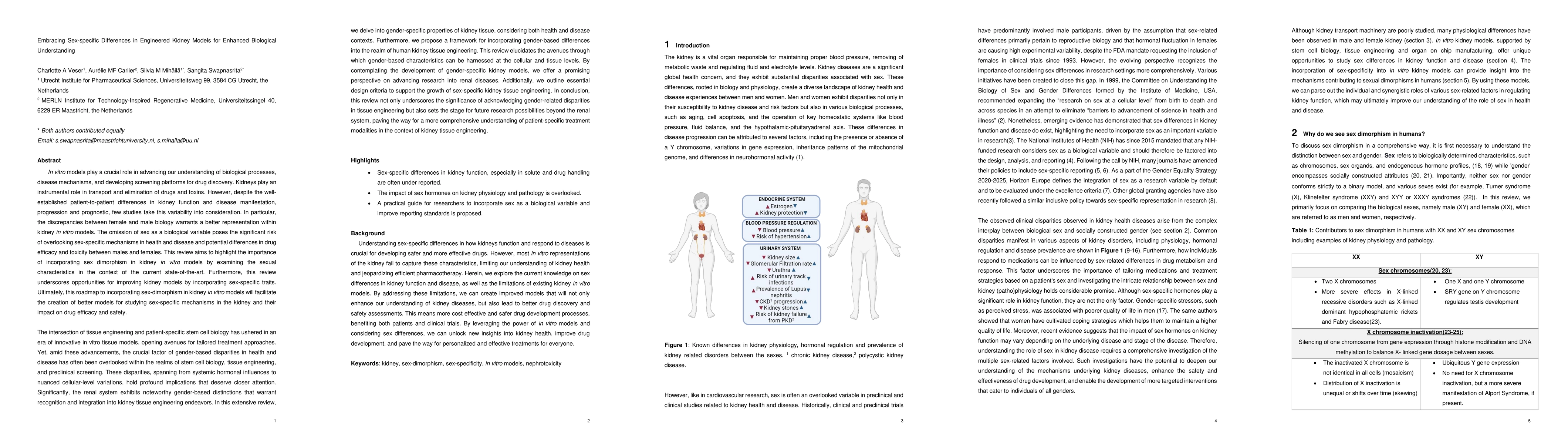 Thumbnail for Embracing Sex-specific Differences in Engineered Kidney Models for
  Enhanced Biological Understanding