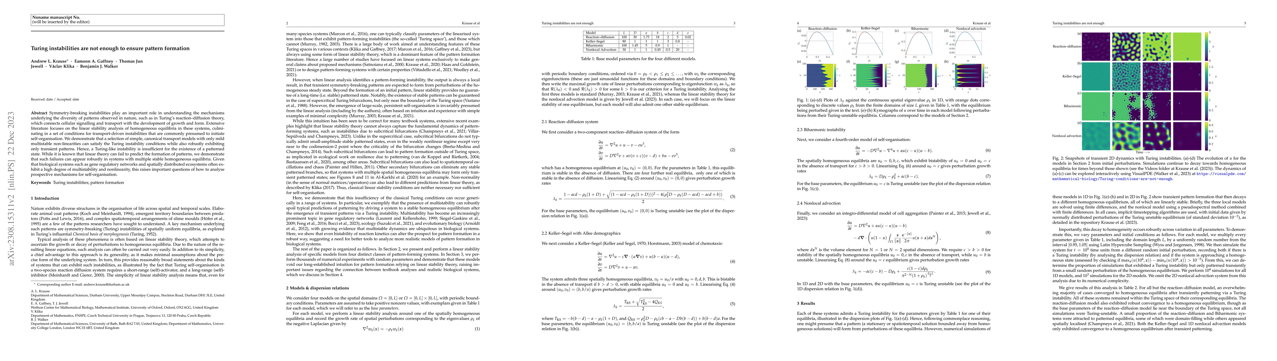 Thumbnail for Turing instabilities are not enough to ensure pattern formation