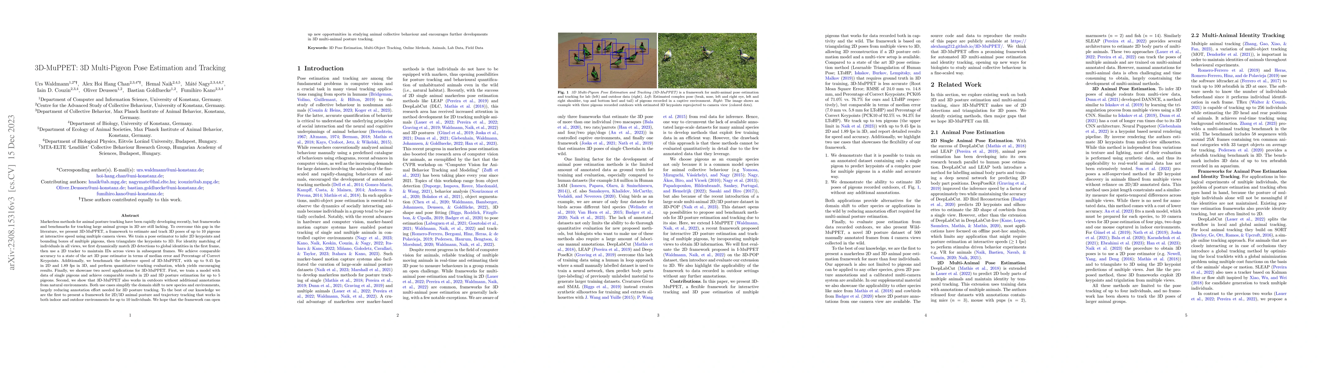 Thumbnail for 3D-MuPPET: 3D Multi-Pigeon Pose Estimation and Tracking