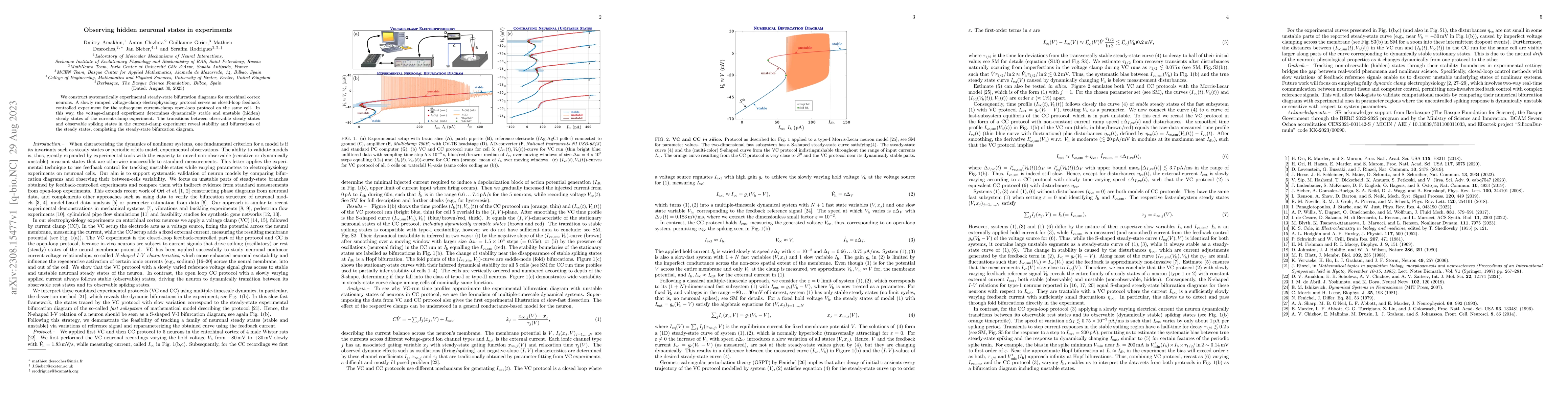 Thumbnail for Observing hidden neuronal states in experiments