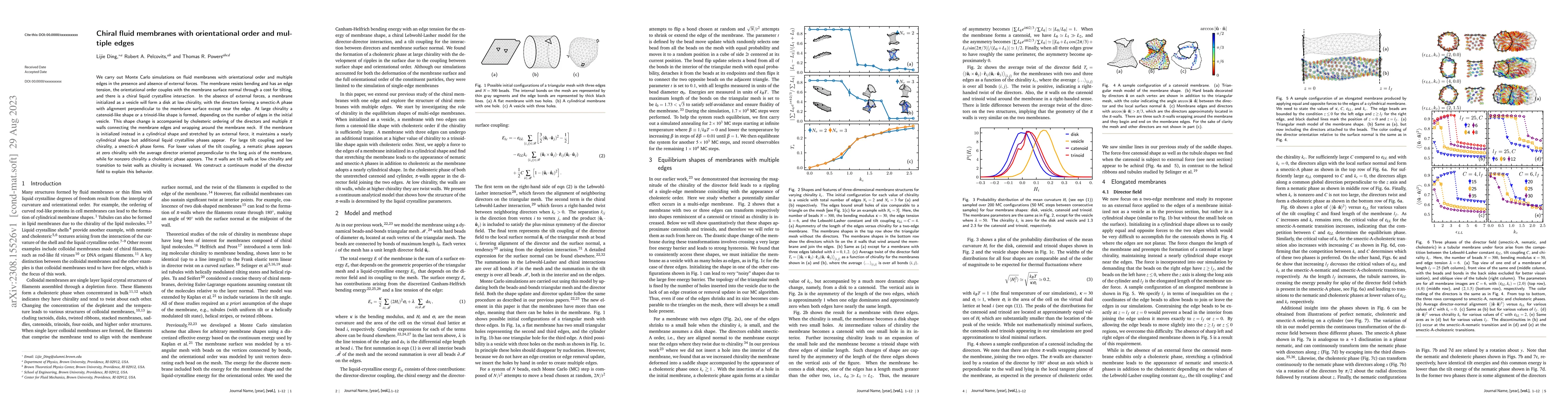 Thumbnail for Chiral fluid membranes with orientational order and multiple edges