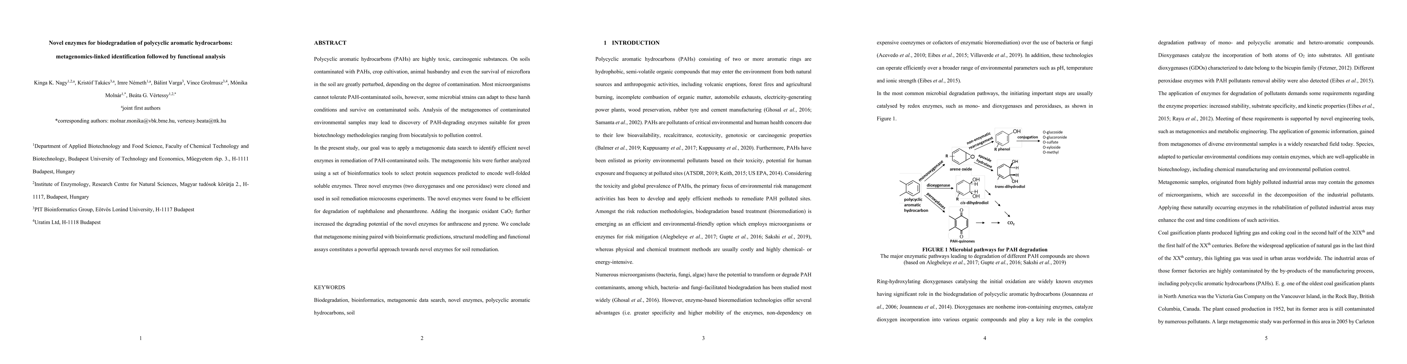 Thumbnail for Novel enzymes for biodegradation of polycyclic aromatic hydrocarbons:
  metagenomics-linked identification followed by functional analysis