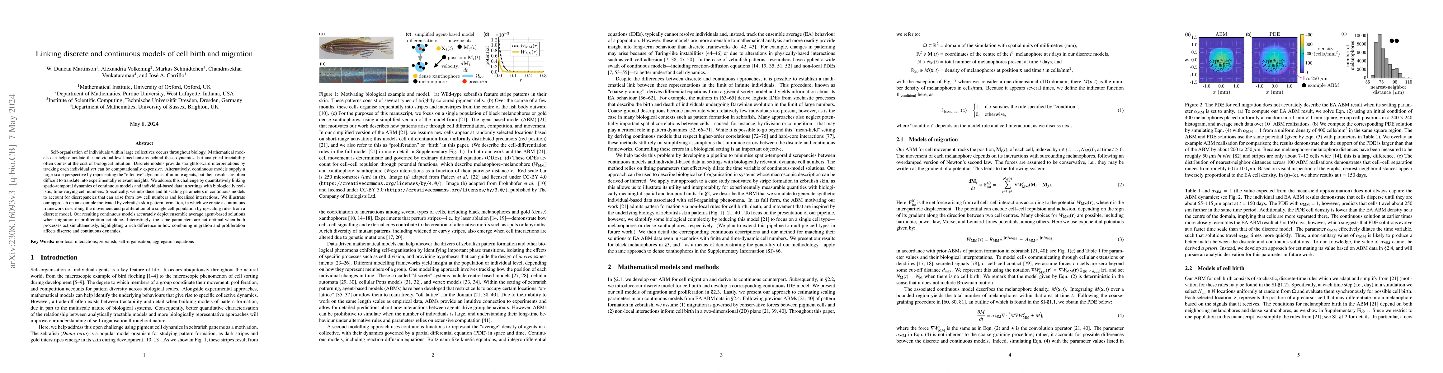 Thumbnail for Linking discrete and continuous models of cell birth and migration