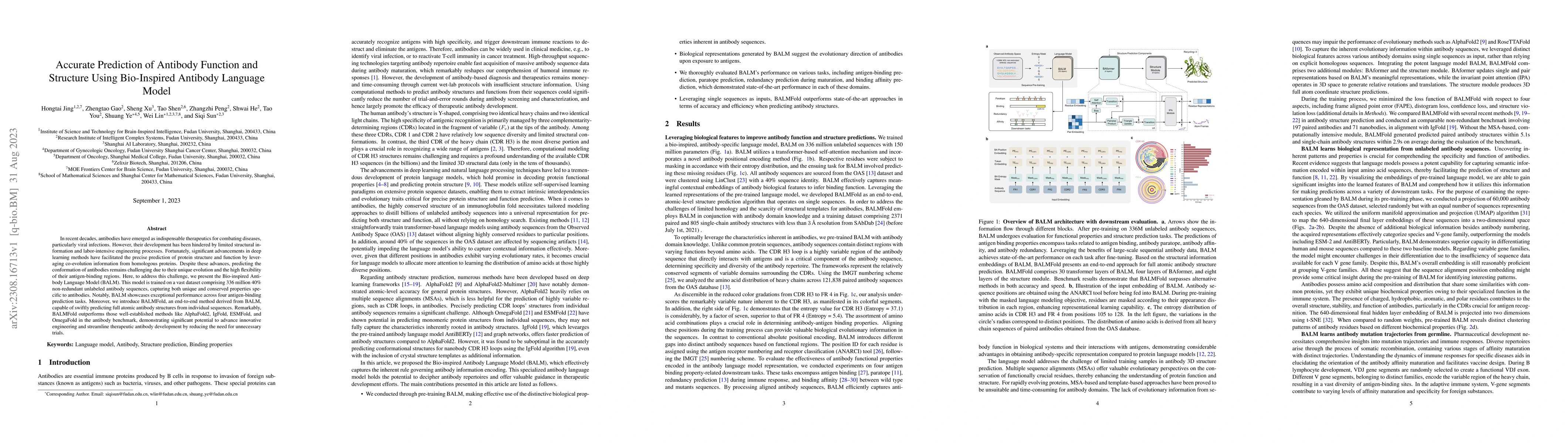 Thumbnail for Accurate Prediction of Antibody Function and Structure Using
  Bio-Inspired Antibody Language Model