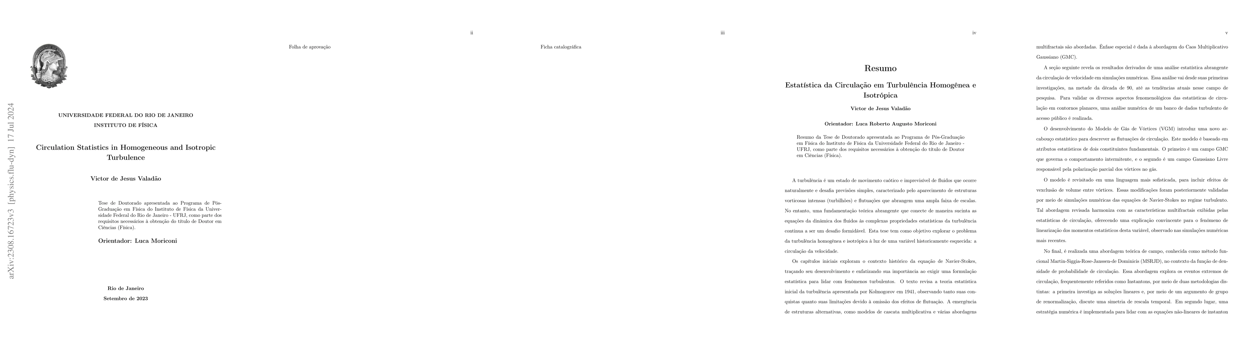Thumbnail for Circulation Statistics in Homogeneous and Isotropic Turbulence