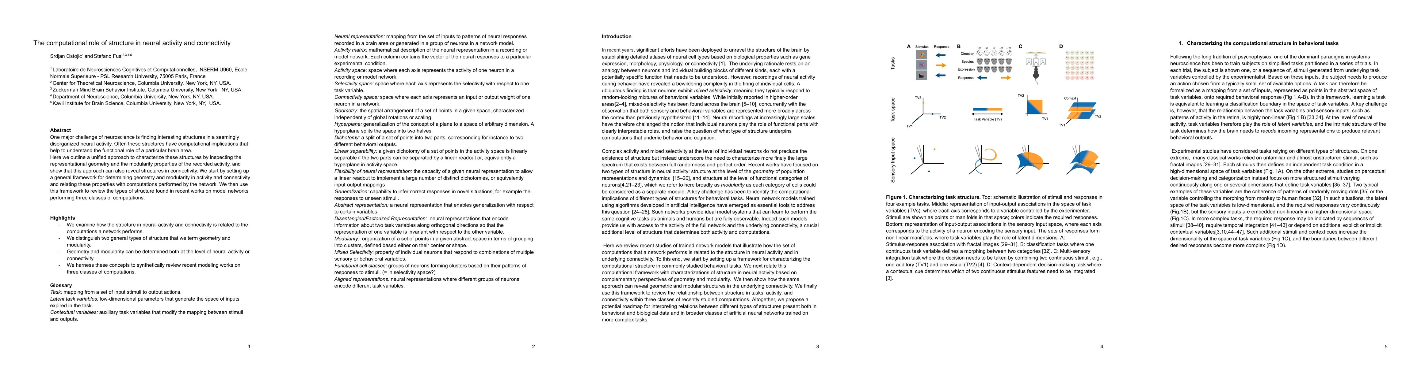 Thumbnail for The computational role of structure in neural activity and connectivity