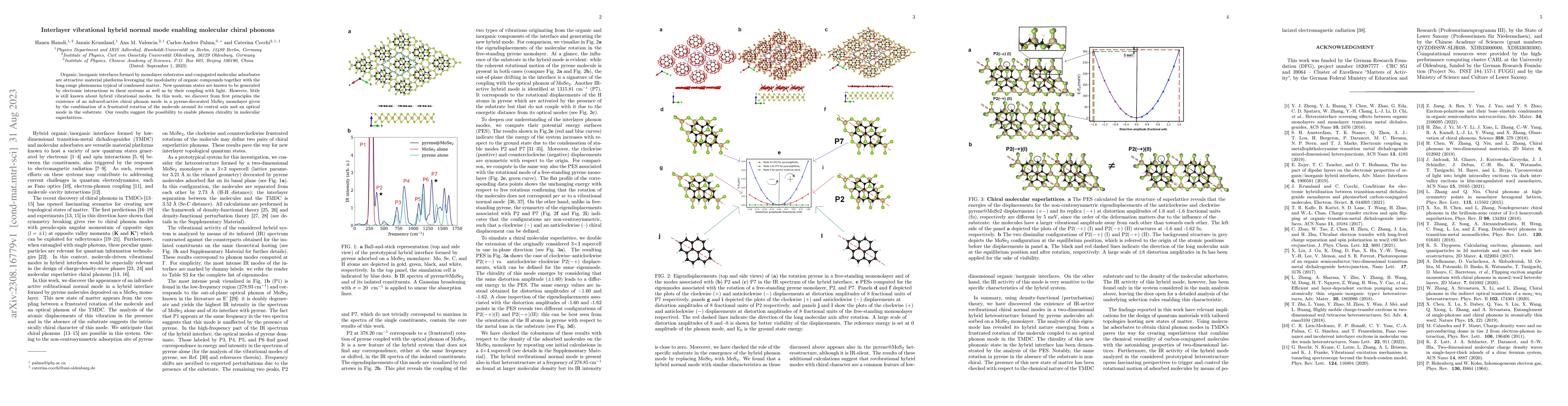 Thumbnail for Interlayer vibrational hybrid normal mode enabling molecular chiral
  phonons