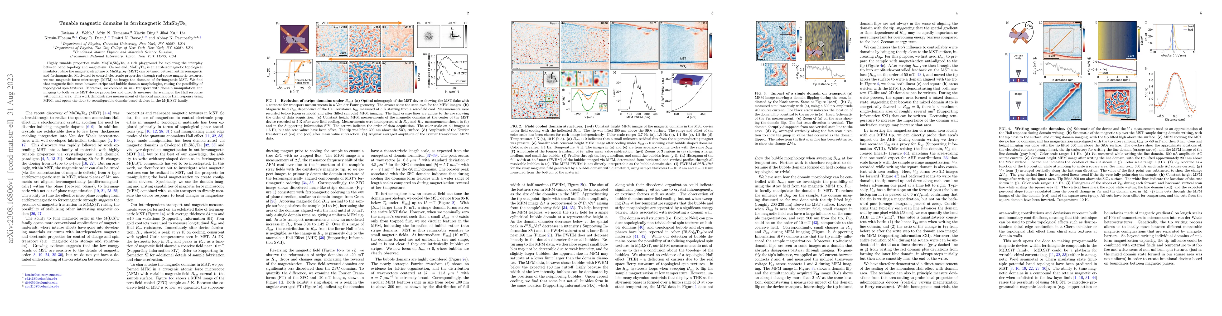 Thumbnail for Tunable magnetic domains in ferrimagnetic MnSb$_2$Te$_4$