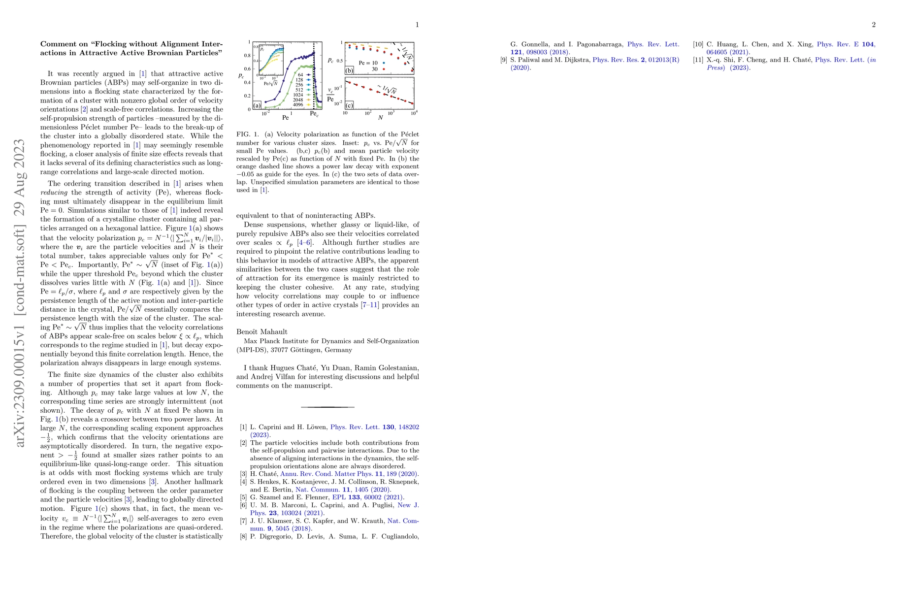 Thumbnail for Comment on "Flocking without Alignment Interactions in Attractive Active
  Brownian Particles [arXiv:2303.07746]"