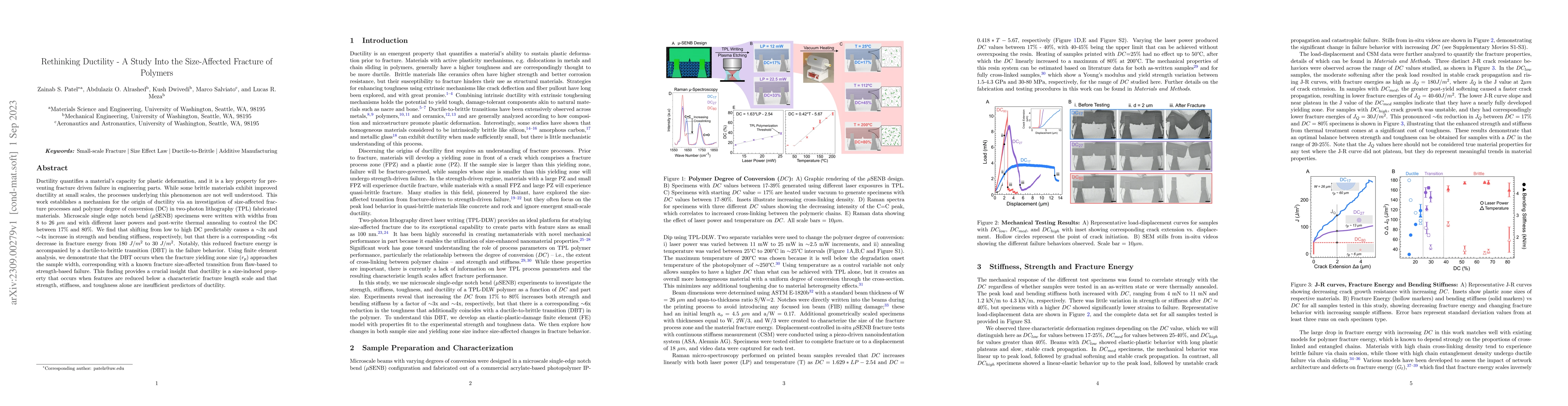 Thumbnail for Rethinking Ductility -- A Study Into the Size-Affected Fracture of
  Polymers