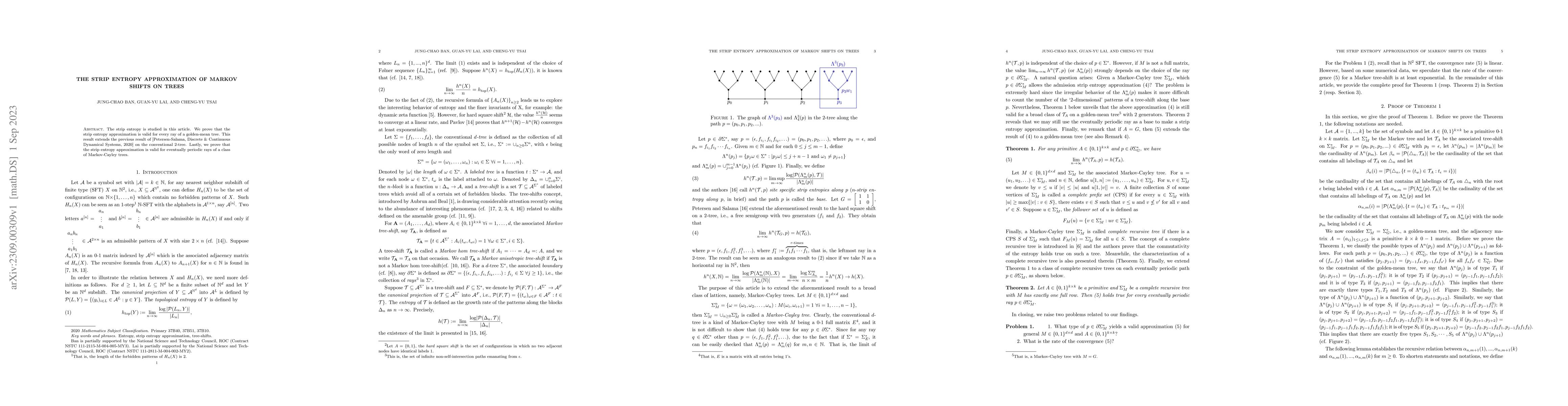 Thumbnail for The strip entropy approximation of Markov shifts on trees