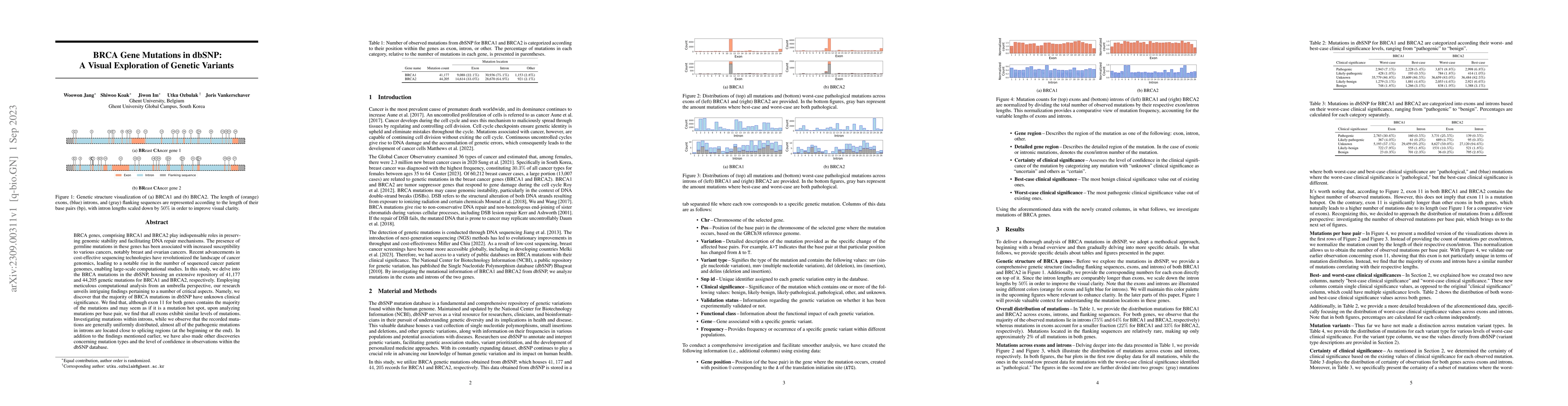 Thumbnail for BRCA Gene Mutations in dbSNP: A Visual Exploration of Genetic Variants