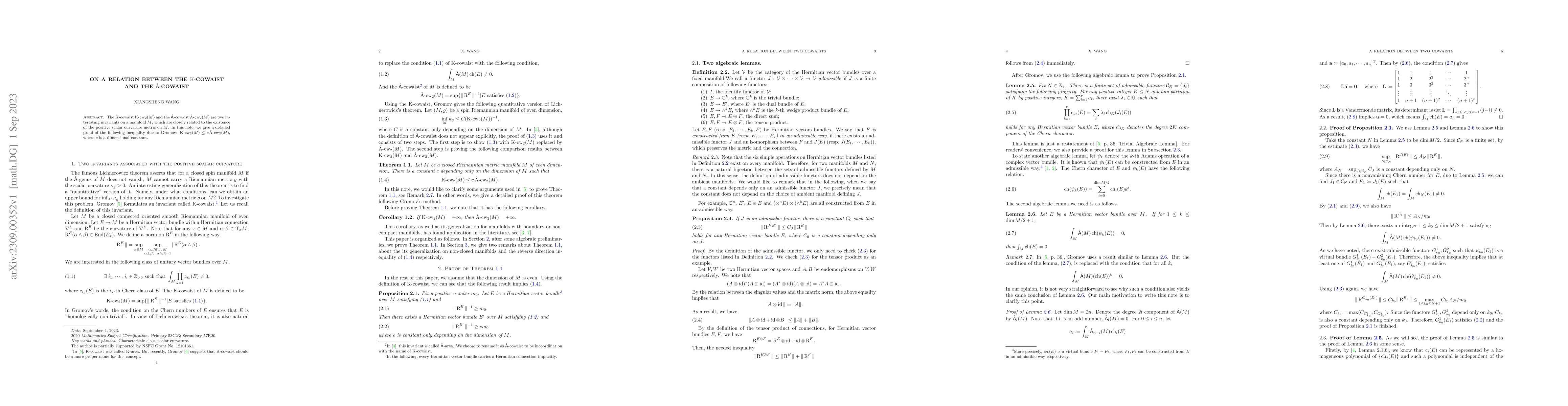 Thumbnail for On a relation between the $\mathrm{K}$-cowaist and the
  $\hat{\mathsf{A}}$-cowaist